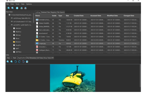 Open-Source Solutions For Digital Forensic Investigators Open-Source Solutions For Digital Forensic Investigators
